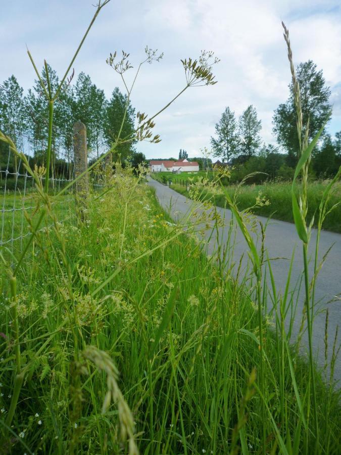 Het Verblijf Sint-Martens-Lennik Exterior foto