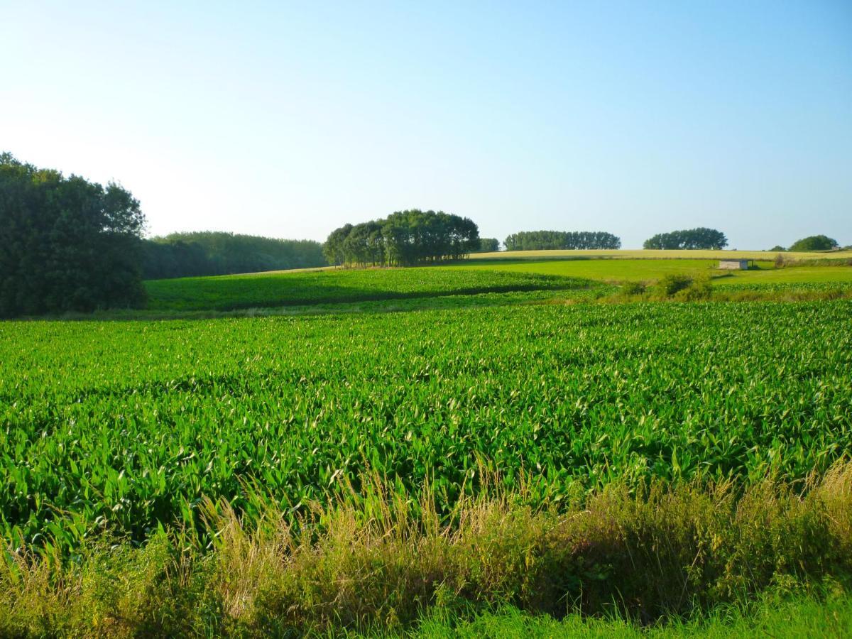 Het Verblijf Sint-Martens-Lennik Exterior foto